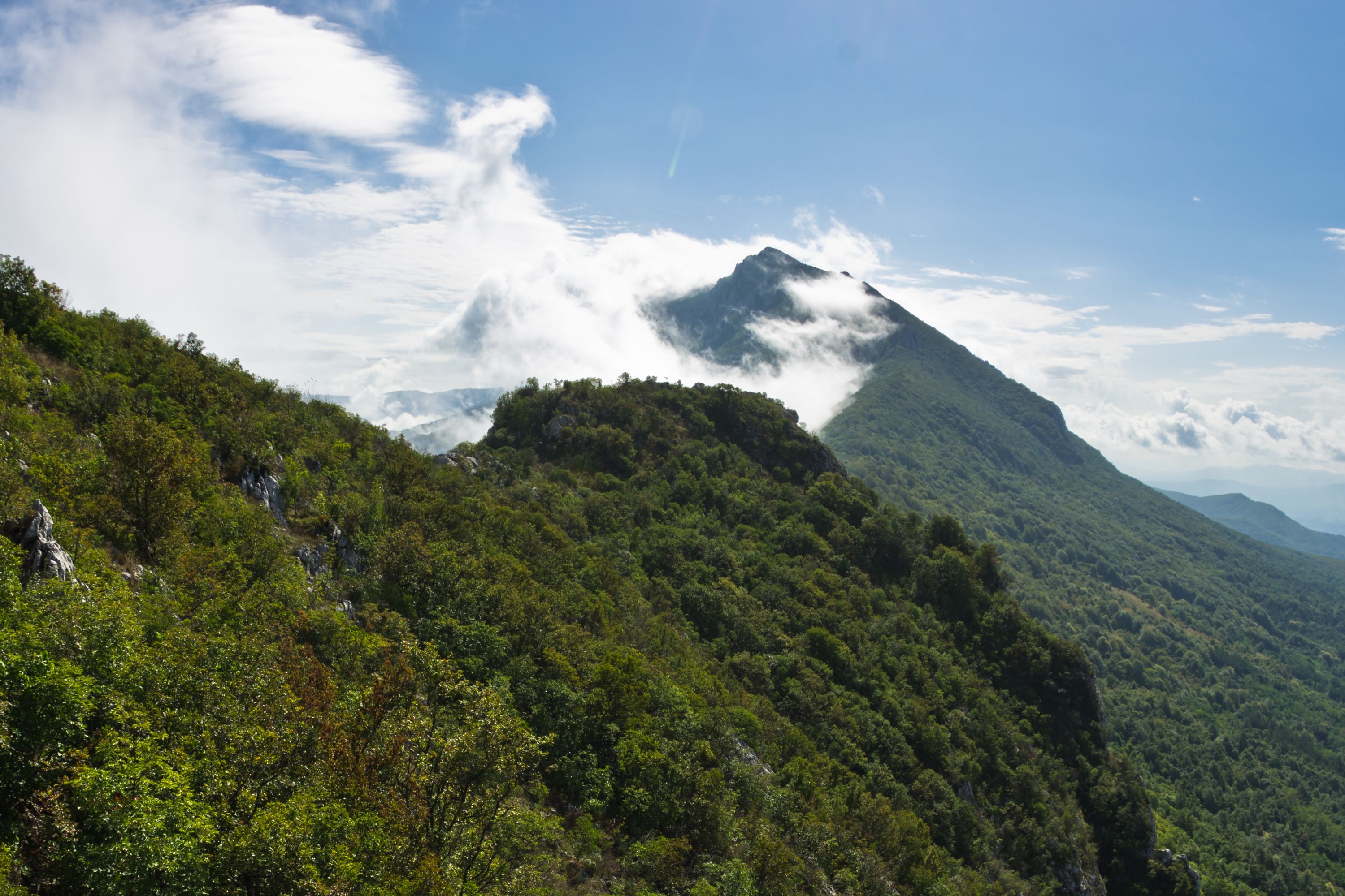 Forest slopes of Suva Planina