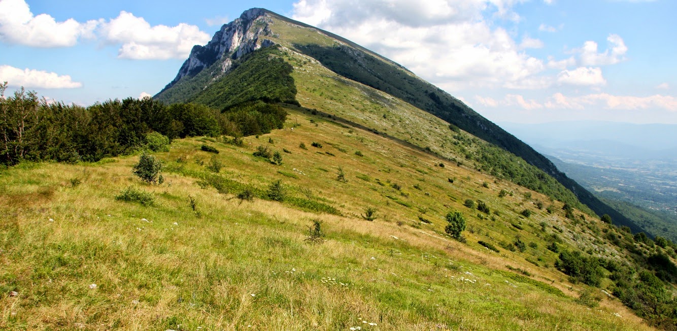 Suva Planina summer landscape